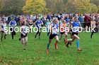 Girls under-13s, Start Fitness NEHL, Lambton Castle, Durham.  Photo: David T. Hewitson/Sports for All Pics